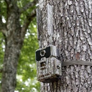 WiseEye Data Cam 2 mounted on tree, side view, camouflaged with the bark.